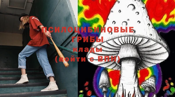 PSILOCYBIN Богородск