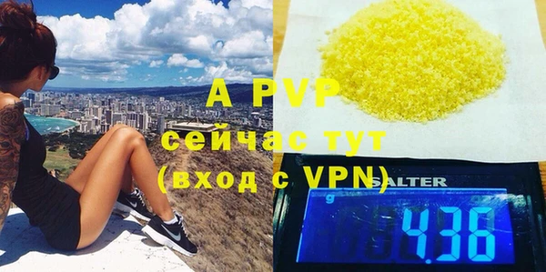 стаф Беломорск