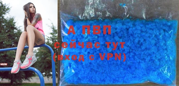 стаф Беломорск