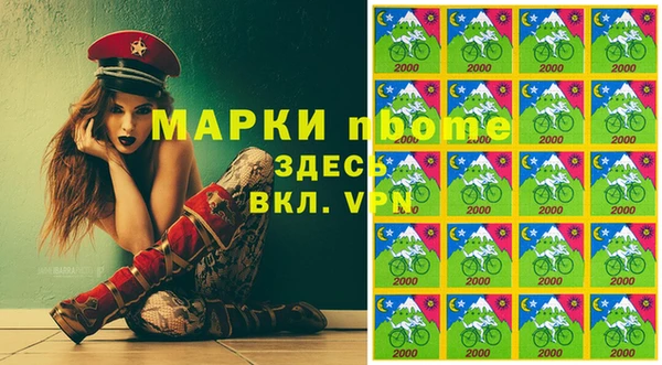 мдпв Богородицк