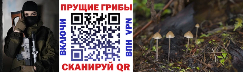 кракен   Верхний Уфалей  Псилоцибиновые грибы MAGIC MUSHROOMS 