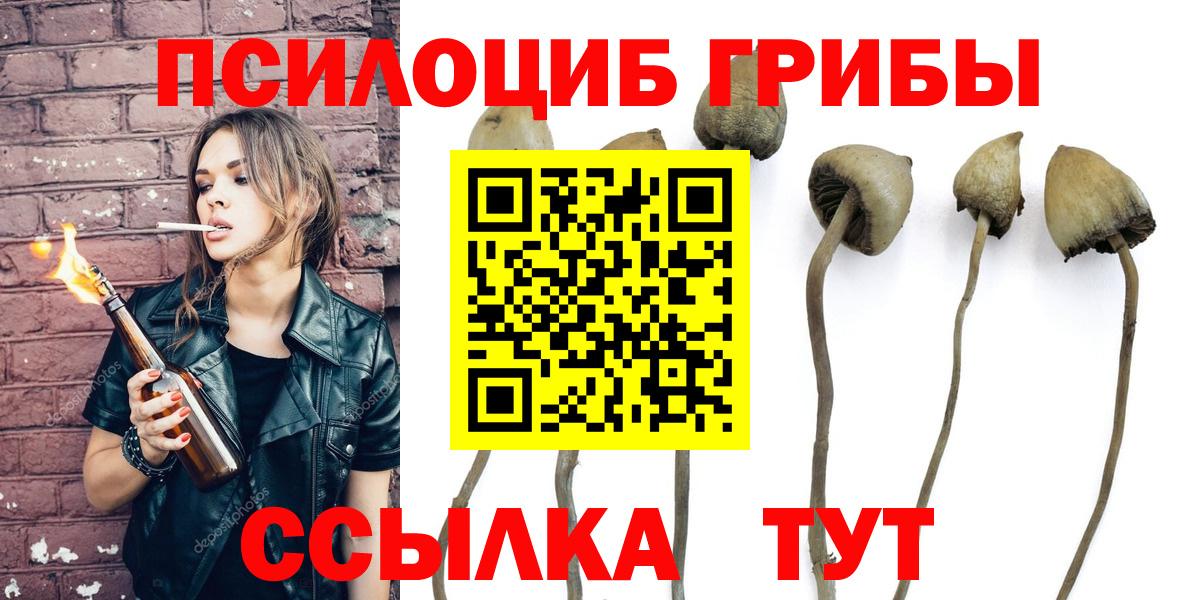 Псилоцибиновые грибы MAGIC MUSHROOMS Верхний Уфалей