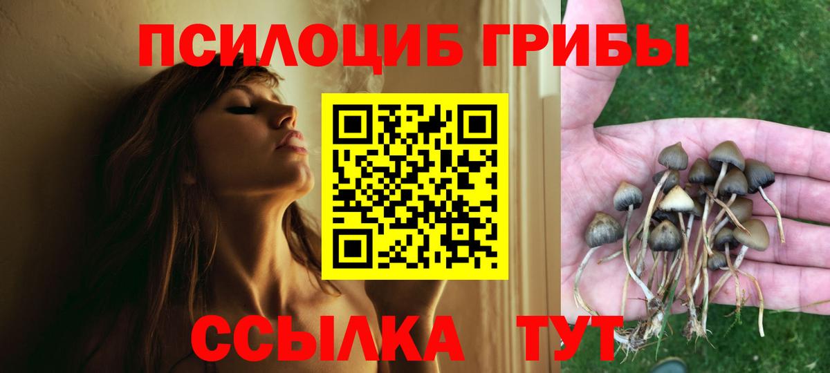 Псилоцибиновые грибы Cubensis  Вход с VPN  Верхний Уфалей 