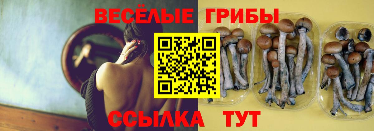 Псилоцибиновые грибы Cubensis Верхний Уфалей